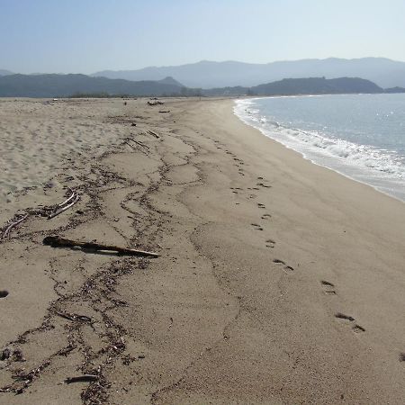 Studio Pieds Dans L'Eau Διαμέρισμα Calcatoggio  Εξωτερικό φωτογραφία