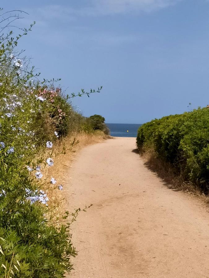 Studio Pieds Dans L'Eau Διαμέρισμα Calcatoggio  Εξωτερικό φωτογραφία