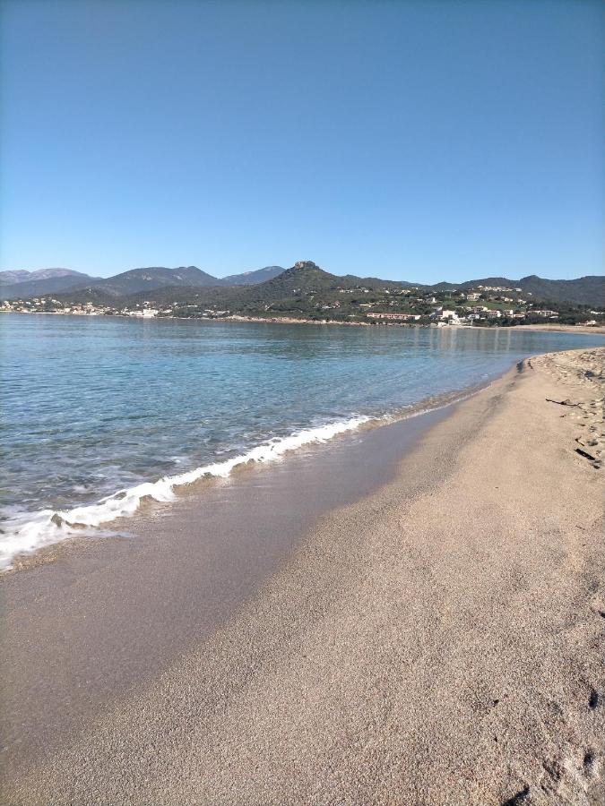 Studio Pieds Dans L'Eau Διαμέρισμα Calcatoggio  Εξωτερικό φωτογραφία